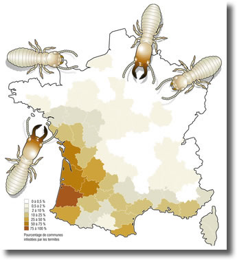 Répartition des termites en France